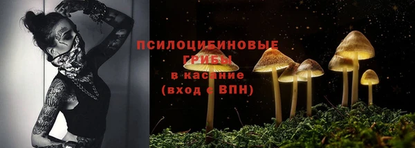 ГАЛЛЮЦИНОГЕННЫЕ ГРИБЫ Алексеевка