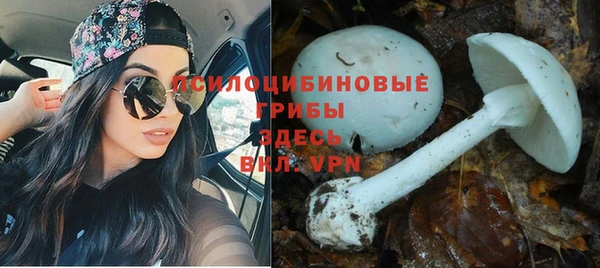 кокаин колумбия Армянск