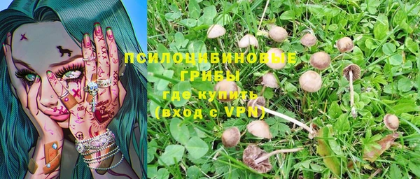 каннабис Абинск